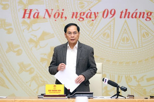 Phó Thủ tướng Bùi Thanh Sơn yêu cầu tăng mức phạt với buôn lậu, hàng giả