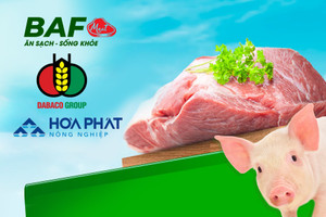 BAF Việt Nam đầu tư thêm 13 trang trại mới bất chấp dịch tả lợn châu Phi, ‘phả hơi nóng’ vào Hòa Phát và Dabaco