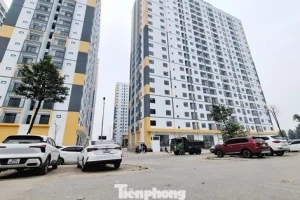 Bắc Ninh công bố bán nhà ở xã hội tại 3 dự án, giá từ hơn 12 triệu đồng/m²