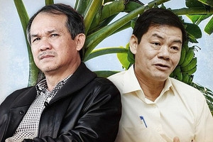 Hoàn tất thoái vốn khỏi HNG, mối lương duyên HAGL - Thaco chính thức khép lại sau 8 năm làm nông nghiệp