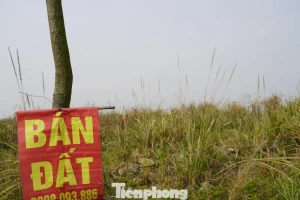 Dự án mắc kẹt hơn 20 năm, nhiều lô đất trùng