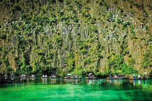 Khu đầm lầy hơn 3.000ha lớn nhất miền Bắc: Được ví như 'vịnh Hạ Long không sóng', xác lập 2 kỷ lục