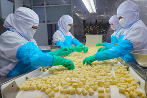 Doanh nghiệp nhỏ ‘được mùa’ ưu đãi: Miễn thuế tới 3 năm, khởi nghiệp hưởng loạt đặc quyền