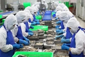 Lý do xuất khẩu thủy sản Việt Nam vượt 11 tỷ USD