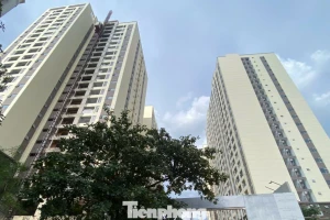 Siết trách nhiệm doanh nghiệp để tăng nguồn cung nhà ở xã hội