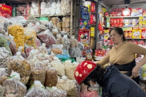 Hộ kinh doanh cần làm 4 việc liên quan đến thuế