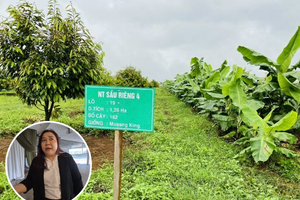 HAGL chốt danh sách 499 lao động nhận thưởng 160 căn hộ và cổ phiếu, nhân viên mừng như 'trúng số'