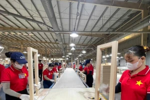 Miễn thuế, thêm trợ lực cho doanh nghiệp, khởi nghiệp