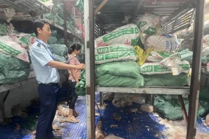 Phát hiện gần 19 tấn lòng bò, thịt bò 'ba không' trị giá hơn 700 triệu đồng giữa lòng TP.HCM