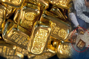 Thu giữ khẩn cấp 2 tỷ đồng tiền mặt, 95,5kg vàng của một người giao dịch chứng khoán