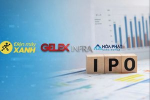 Công ty chứng khoán tư vấn IPO cho Nông nghiệp Hòa Phát, Gelex Infra và Điện Máy Xanh báo lãi hơn 1.600 tỷ đồng