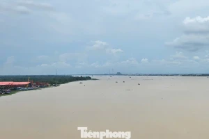 Xâm nhập mặn đe dọa ĐBSCL ra sao?