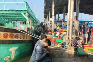 Thanh tra Chính phủ quyết định thanh tra công tác chống IUU ở Cà Mau