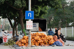 Bưởi Diễn 'đổ đống' vỉa hè Hà Nội, chỉ 2.000 đồng/quả: Thực hư loại bưởi đang bán đầy phố