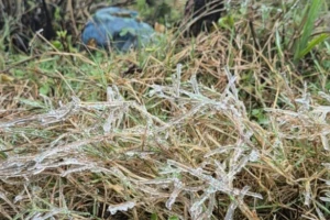 Băng giá xuất hiện trên đỉnh Mẫu Sơn