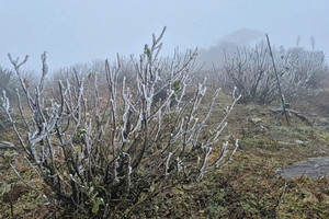 Không phải Fansipan, đây mới là đỉnh núi miền Bắc xuất hiện băng giá, khách du lịch đổ xô đến checkin
