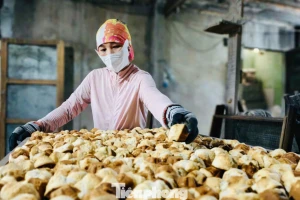 'Đột nhập' lò bánh thuẫn trăm năm ngày áp Tết