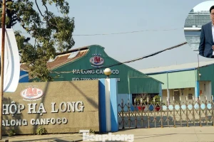 Đồ hộp Hạ Long bị 'tuýt còi' chứng nhận an toàn thực phẩm