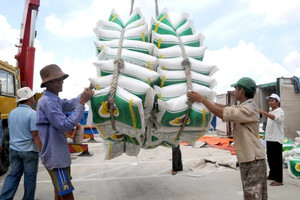 Nhiều thị trường có nhu cầu cao đối với gạo thơm Việt Nam nhưng doanh nghiệp chưa tiếp cận được