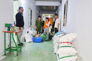 Đột kích 'phòng trọ' phù phép hơn 600 kg bột nêm giả thành sản phẩm của Knorr và A-One