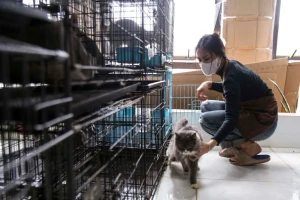 Nở rộ dịch vụ dịp Tết