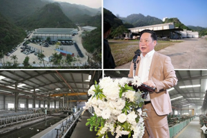 Kita Group làm gì ở doanh nghiệp 'rỗng ruột' mang tên Ô tô Giải Phóng?