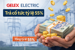 Vừa báo lãi kỷ lục 3.400 tỷ, Gelex Electric (GEE) vội trình ý kiến trả cổ tức tỷ lệ 55%