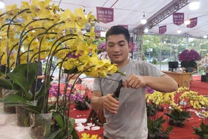 Nghề thời vụ kiếm 5 triệu/ngày mỗi dịp Tết khiến dân văn phòng 'chỉ biết ước'