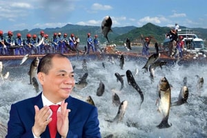 Vingroup vừa có bước đi mới trong lĩnh vực thủy sản
