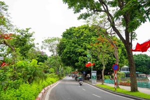 Đề xuất làm mới các tuyến phố trung tâm Hà Nội theo hướng xanh - cảnh quan