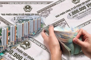 Him Lam, HUD, Vinaconex... sắp bị thanh tra