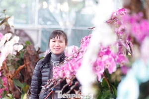 Bỏ hàng tỷ đồng buôn hoa Tết rồi ngóng khách... mất ăn, mất ngủ