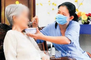 Dân số Việt Nam dịch chuyển sang già hóa nhanh chóng
