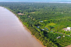 Quy hoạch cù lao được mệnh danh ‘Vương quốc bần’ miền Tây thành trung tâm du lịch sinh thái – nghỉ dưỡng cao cấp