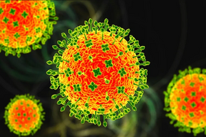Những điều cần biết về loại virus Nipah nguy hiểm chết người
