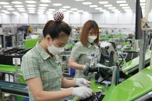 Lao động biết tiếng Trung có thu nhập cao hơn tới 40% so với mặt bằng chung
