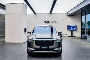 Một hãng xe bất ngờ tính đóng gần 100 showroom, thị trường xe điện bắt đầu 'lọc máu'?
