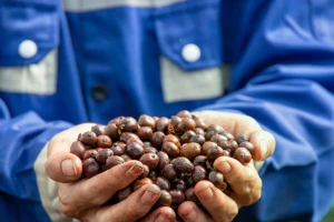 Xuất khẩu 2026: Mục tiêu tăng trưởng trên 15%