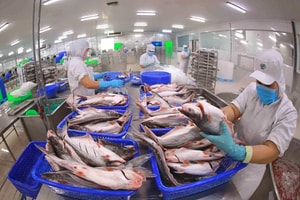 'Ông lớn' thủy sản có 3.000 lao động báo lãi cao nhất 13 quý, tăng 147% so với cùng kỳ