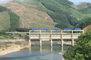 Xử phạt thủy điện Sông Liên