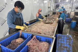 Phát hiện gần 64 tấn lòng lợn bốc mùi tại công ty Dũng Phát