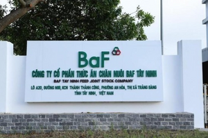 BAF Việt Nam: Cơ hội 'đảo chiều' sau chu kỳ biến động quý IV/2025 của ngành chăn nuôi