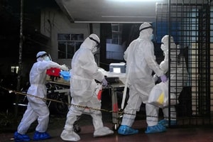 Virus Nipah gây lo ngại toàn cầu: WHO đưa ra đánh giá mới