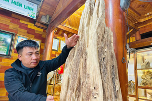 Khối trầm hương tự nhiên quý hiếm bậc nhất ở Hà Tĩnh: Đại gia trả 600 triệu vẫn chưa chịu bán