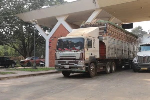 Thông tin mới về hơn 1.300 container nông sản ách tắc ở cửa khẩu