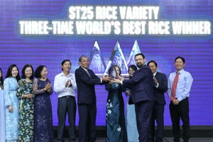 Gạo Việt Nam nhận cúp 'Gạo ngon nhất thế giới' lần thứ 3