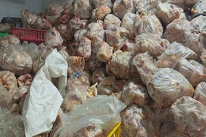2 kho đông lạnh chứa 10 tấn thịt gà không rõ nguồn gốc bị phát hiện