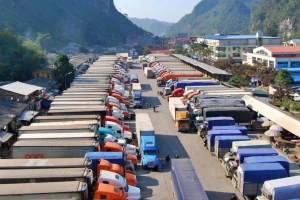 Bộ Nông nghiệp nêu phương án giảm ùn tắc nông sản, thực phẩm tại cửa khẩu