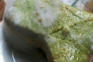 Bánh chưng ngày Tết nếu có dấu hiệu này, nhất định không nên ăn kẻo rước bệnh vào người