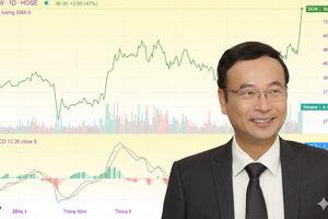 Cổ phiếu Digiworld (DGW) tăng 44% từ đầu năm 2026, đâu là động lực chính?